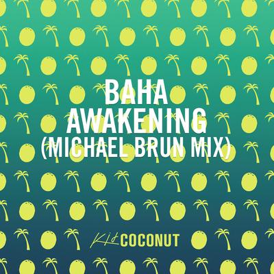 Awakening (Michael Brun Mix) By Baha, Michael Brun's cover