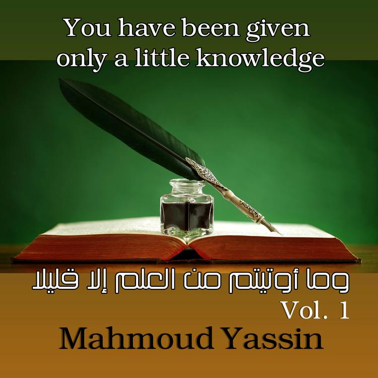 Mahmoud Yassin's avatar image