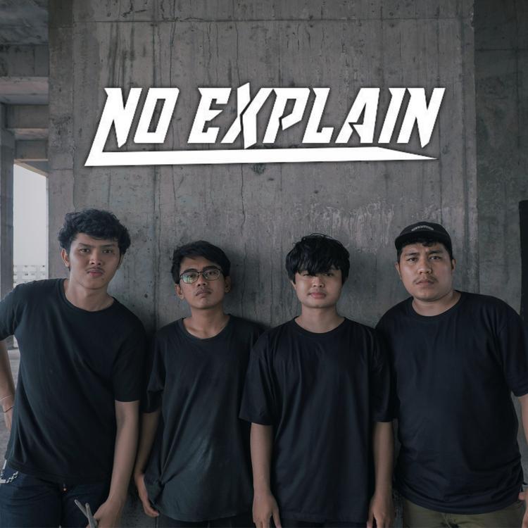 NO EXPLAIN's avatar image