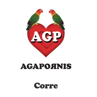 Corre By Agapornis's cover