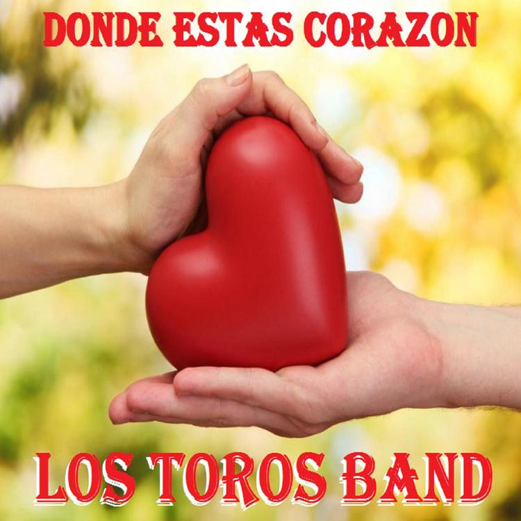 Toros Band's avatar image