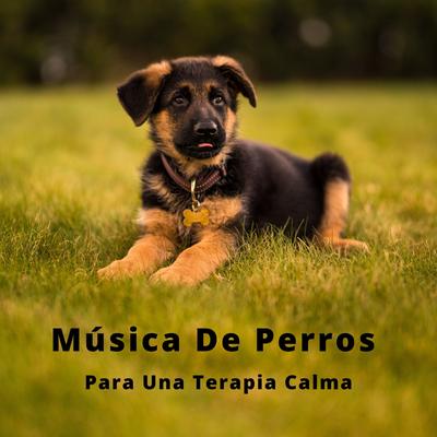 Música De Perros Bailando's cover