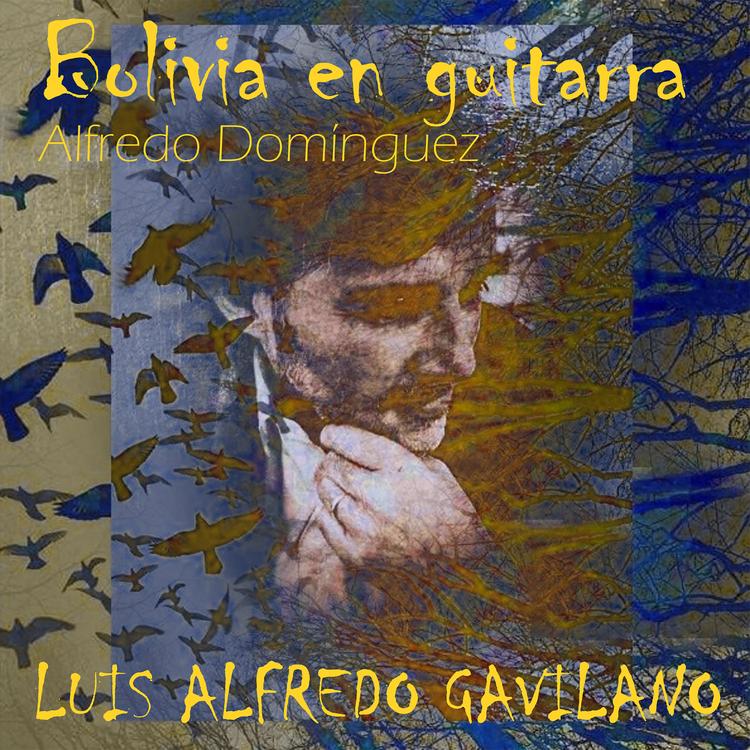 Luís Alfredo Gavilano's avatar image