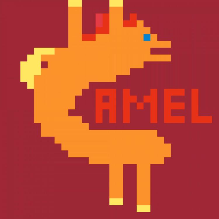 Princess Camel's avatar image