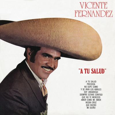 Mi Sueño By Vicente Fernández's cover