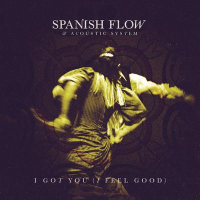 I Got You (I Feel Good) By Spanish Flow, Acoustic System's cover