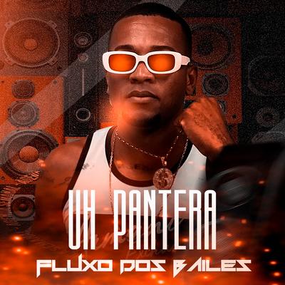 Fluxo dos Bailes's cover