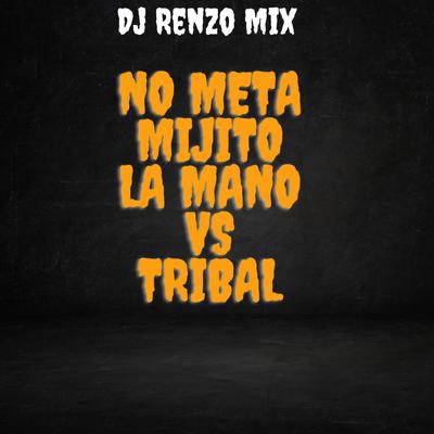 Avispero Vs Melodia Tribal's cover