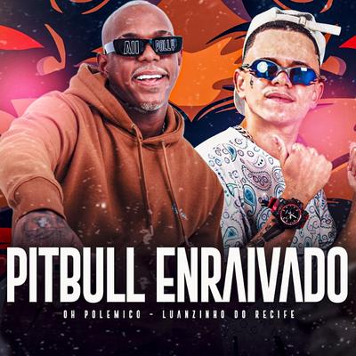 Pitbull Enraivado By Luanzinho do Recife, Oh Polêmico's cover