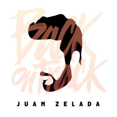 Train to Mexico By Juan Zelada's cover