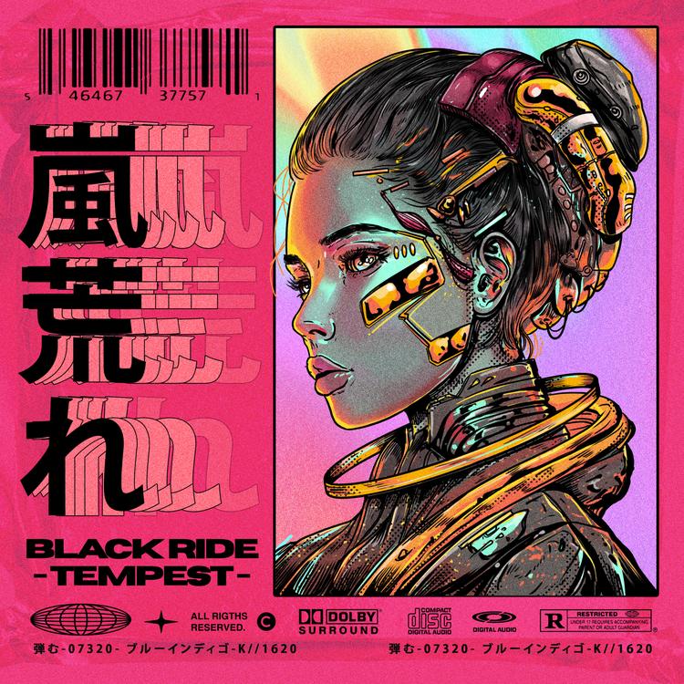 Black Ride's avatar image