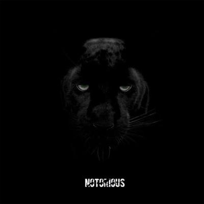 Notorious By Maga's cover