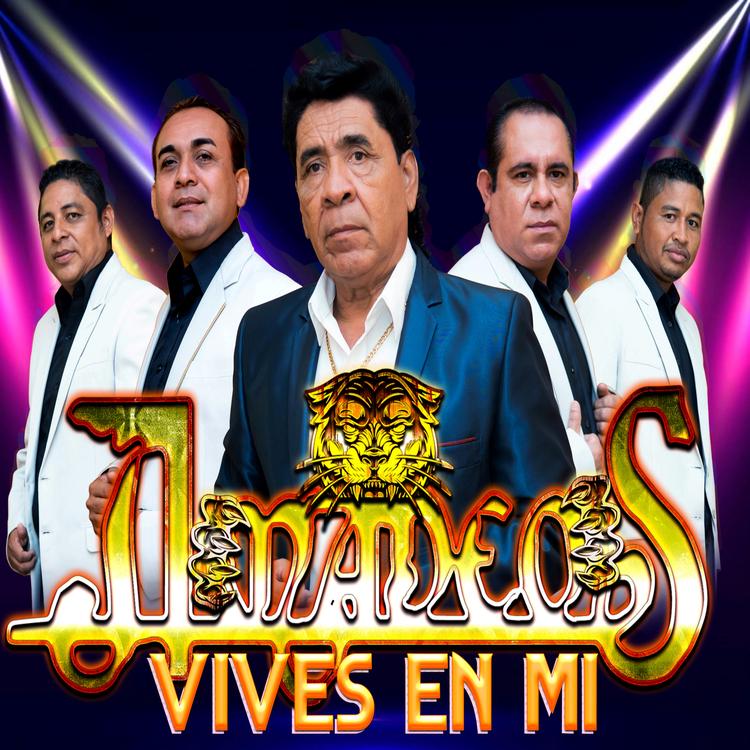 Amadeos's avatar image