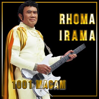 1001 Macam (Rerecorded)'s cover