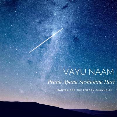 Vayu Naam's cover