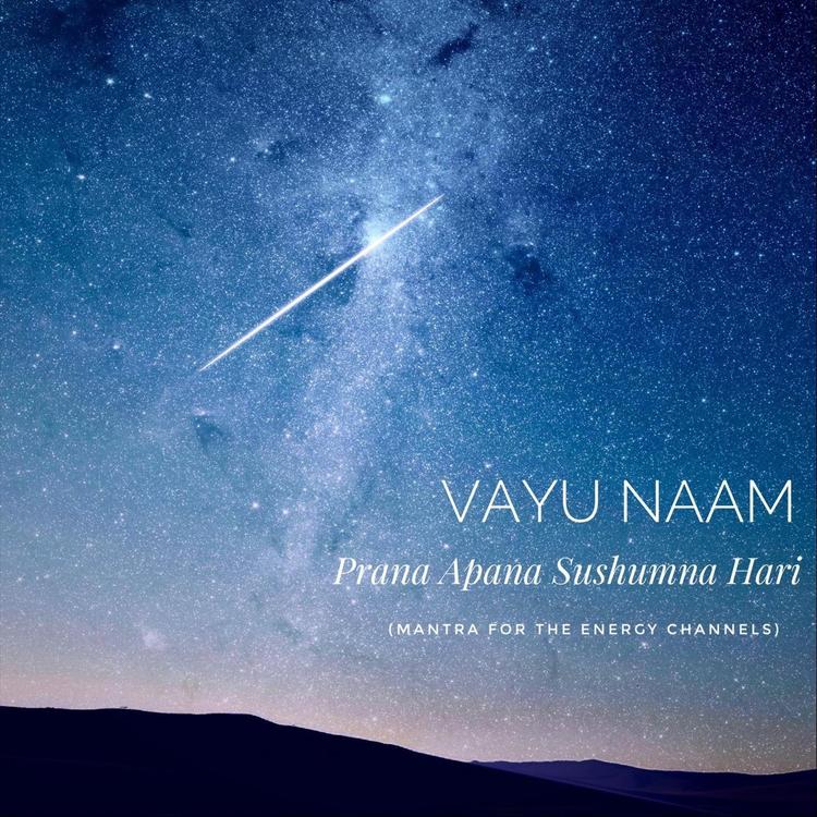 Vayu Naam's avatar image