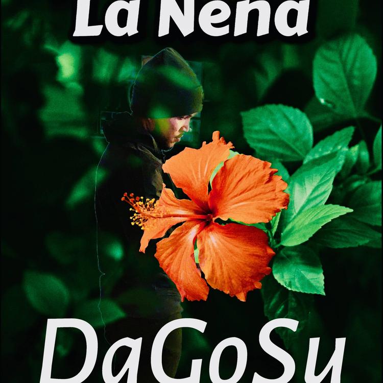 DaGoSu's avatar image
