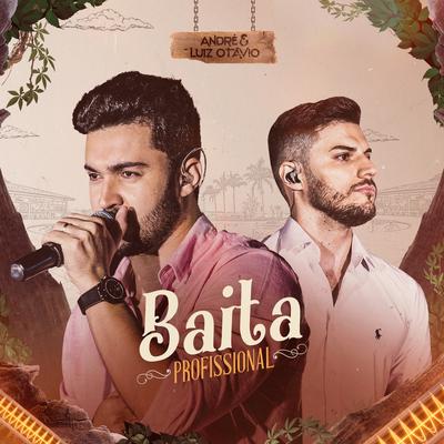 Baita Profissional By André e Luiz Otávio's cover
