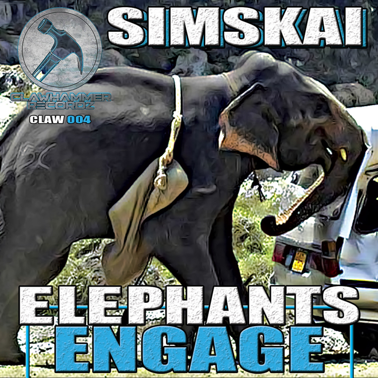 Simskai's avatar image