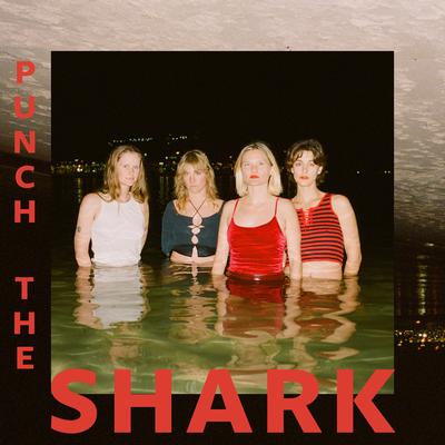 Punch The Shark By Sweetie's cover