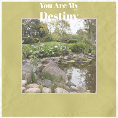 You Are My Destiny's cover