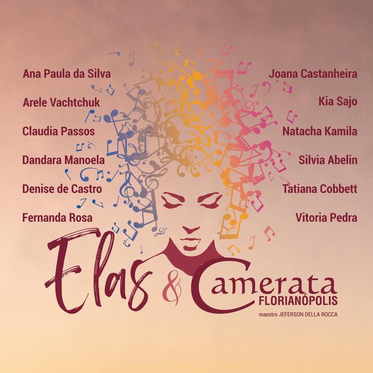 Camerata Florianópolis's avatar image