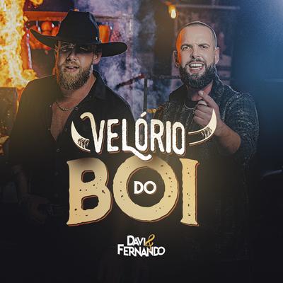 Velório do Boi By Davi e Fernando's cover