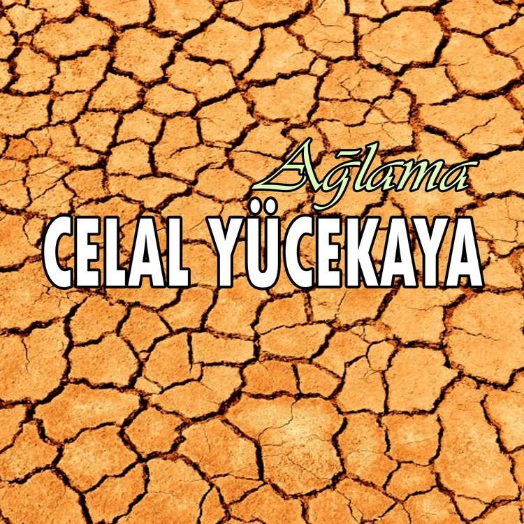 Celal Yücekaya's avatar image