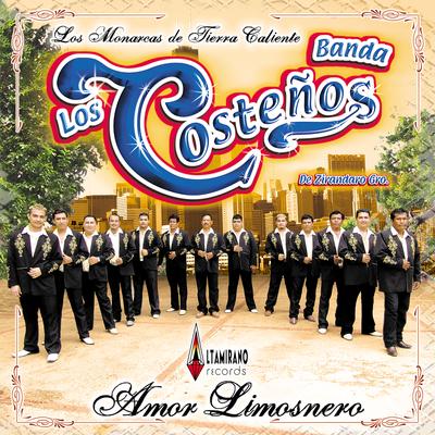 Banda los Costeños de Zirándaro Guerrero's cover