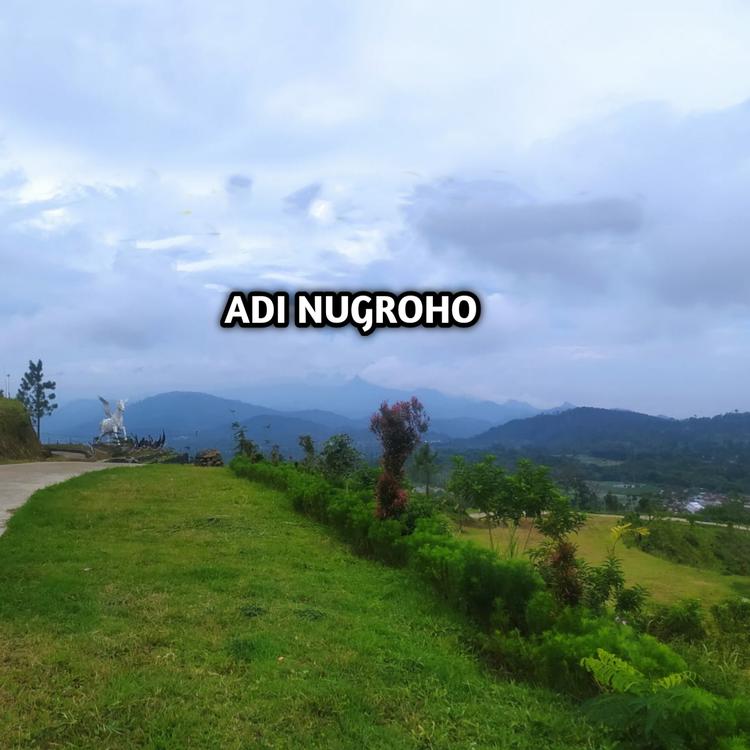Adi Nugroho1's avatar image