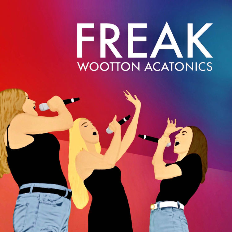 Wootton Acatonics's avatar image