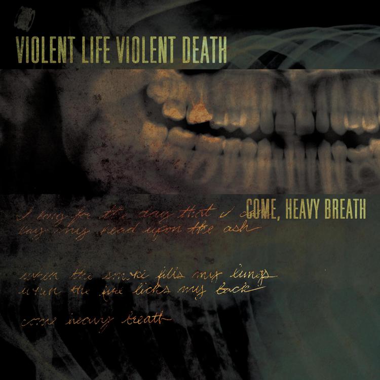 Violent Life Violent Death's avatar image