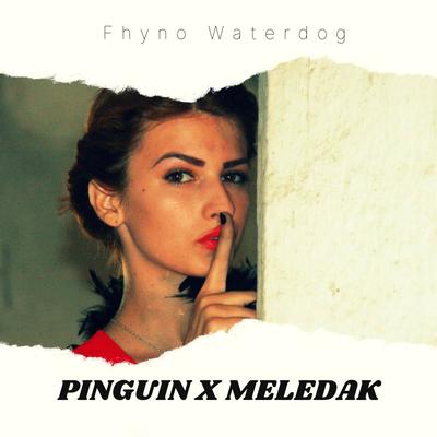 PINGUIN X MELEDAK's cover