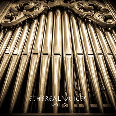 Song of Awakening Meditation (Church Organ Rework) By Sound Traveller's cover