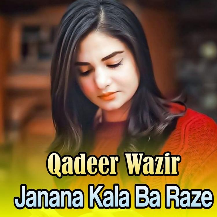 Qadeer Wazir's avatar image