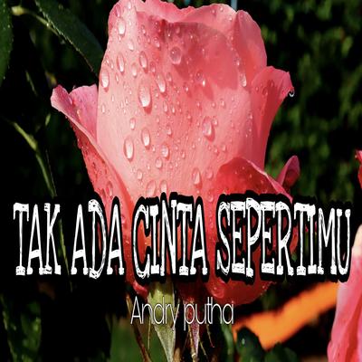 TAK ADA CINTA SEPERTIMU's cover