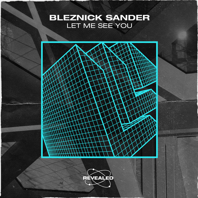 Let Me See You By Bleznick Sander, Revealed Recordings's cover