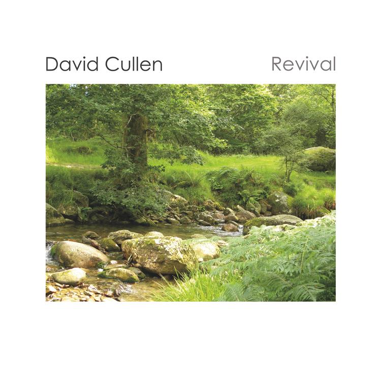 David Cullen's avatar image