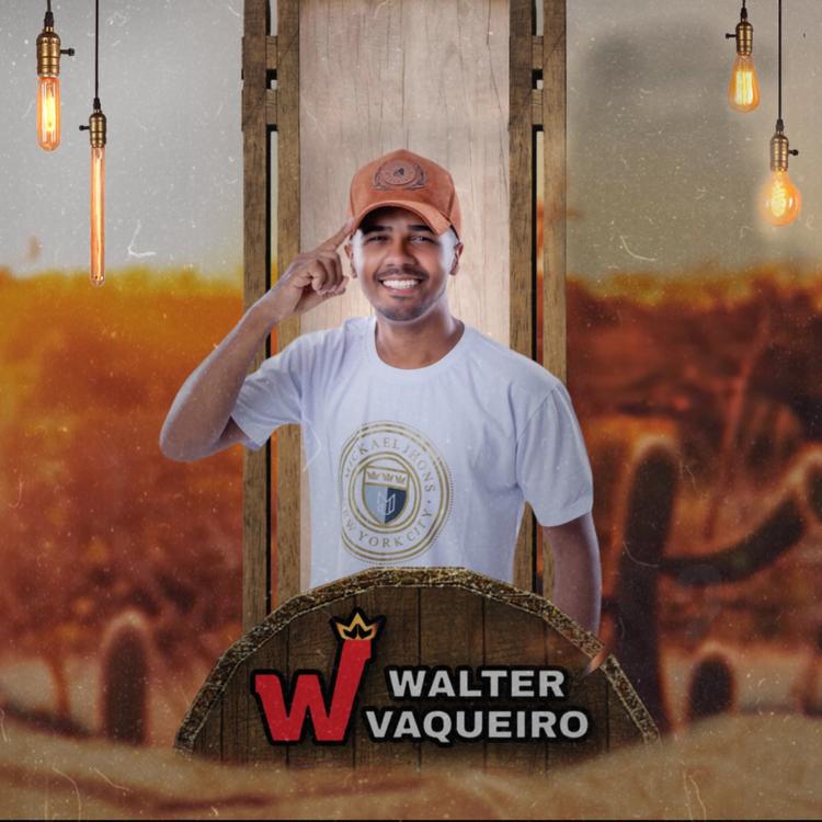 Walter vaqueiro's avatar image