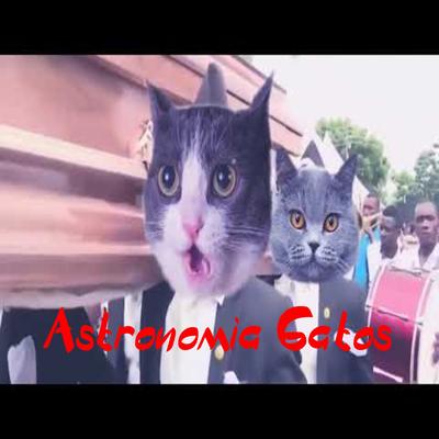 Astronomia Gatos Dance By Stephen's cover