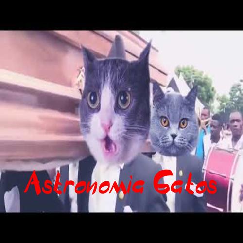 Astronomia Gatos Dance's cover