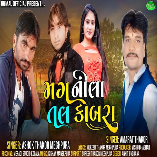 Ashok Thakor Meghpura Official TikTok Music List of songs and