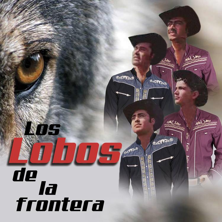 Los Lobos De La Frontera's avatar image