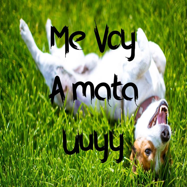 Me Voy A mata's avatar image