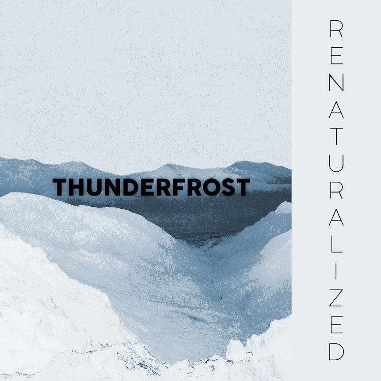 Thunderfrost's avatar image