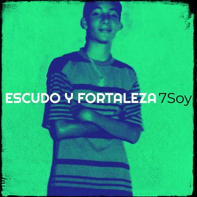 7Soy's cover