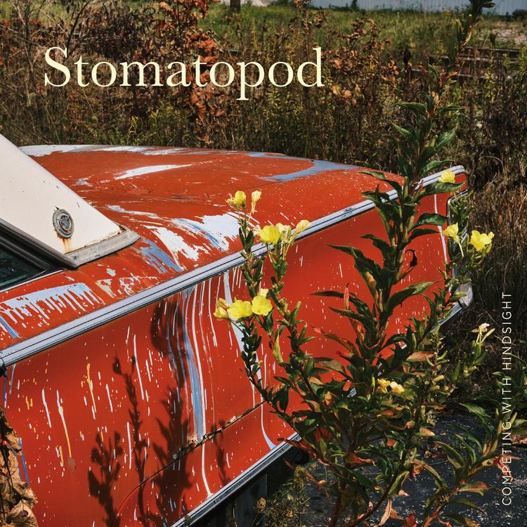 Stomatopod's avatar image