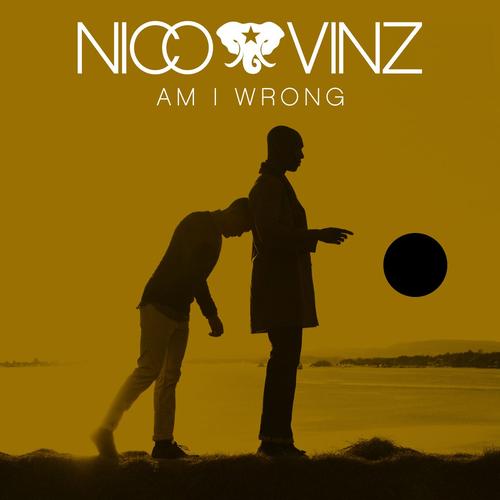 Am I Wrong's cover