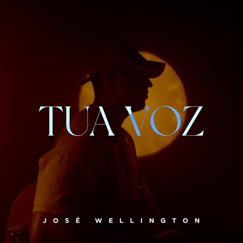 Tua voz 's cover