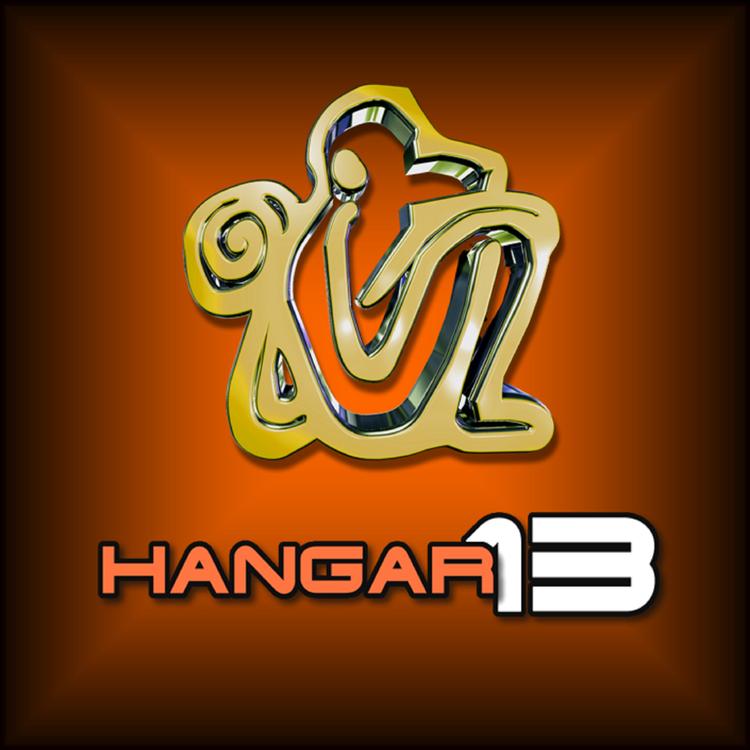 Hangar 13's avatar image